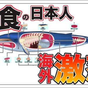 【ゆっくり解説】クジラを食べる日本人を海外が大批判する理由について 鯨食の歴史