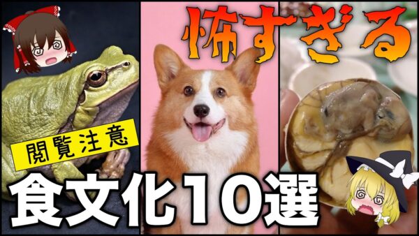【ゆっくり解説】世界の衝撃的な食事10選について 恐ろしい食文化をまとめてみた