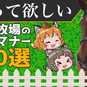 【ゆっくり解説】絶対守ろう！馬牧場見学のマナー10選