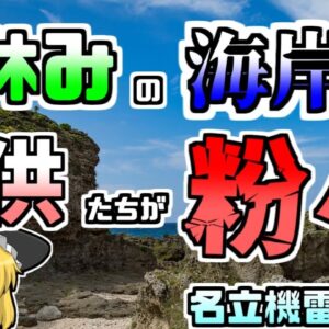 【ゆっくり解説】春休みの海岸に謎の漂流物 子供たちが見守る中、それが突然爆発『名立機雷漂着』【1949年】