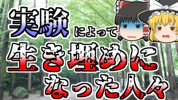 【ゆっくり解説】防災のための実験によって埋まってしまった人々･･･『ローム斜面崩壊実験』【1971年】