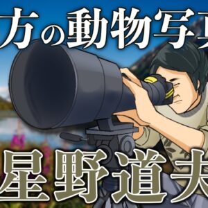 【ゆっくり解説】動物写真家「星野道夫さん」アラスカの大地を追い続けた生涯(前編)【いきもの偉人#8】