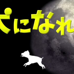 【犬になれ（もふもふ魂）】B級的MV！