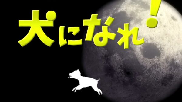 【犬になれ（もふもふ魂）】B級的MV！