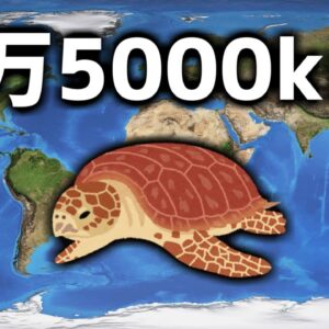 【ゆっくり解説】長距離でも絶対に迷わないGPS搭載生物「ウミガメ」