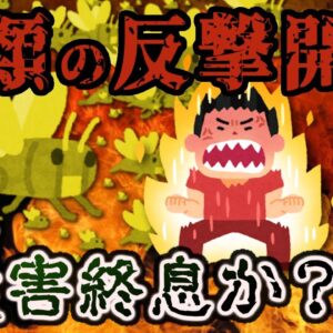 【ゆっくり解説】ついに蝗害に反撃開始！農民×ベンチャーの画期的な打開策とは