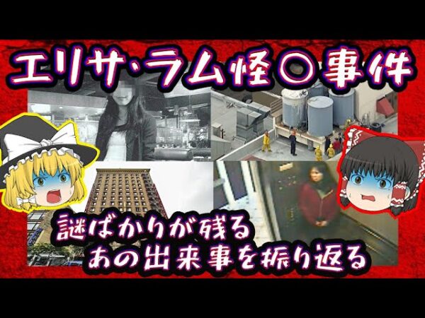 【怪奇】エリサ・ラム怪○事件を振り返る【ゆっくり解説】