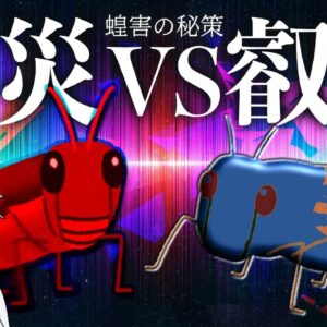 【ゆっくり解説】バッタには○○をぶつけろ！？蝗害に対抗する人類の秘策とは…