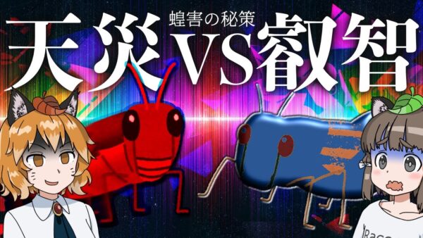 【ゆっくり解説】バッタには○○をぶつけろ！？蝗害に対抗する人類の秘策とは…