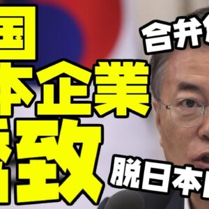 韓国、脱日本完全敗北！？合弁会社誘致しまくるが韓国との合弁会社は危険！【ゆっくり解説】