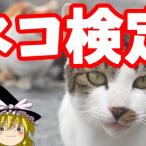 【おもしろゆっくり】変わった資格特集その①