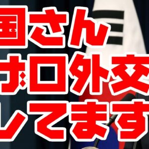 韓国、アメリカに告げ口外交する予測たてられる模様【ゆっくり解説】