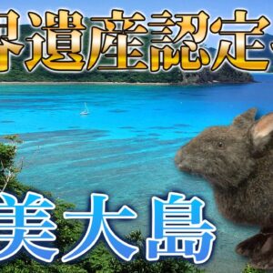 【ゆっくり解説】「奄美大島」世界自然遺産に選ばれた東洋のガラパゴス