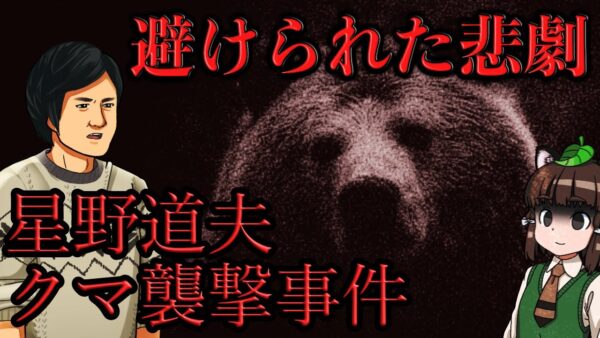 【ゆっくり解説】「星野道夫クマ襲撃事件」動物写真家を襲った悲劇…