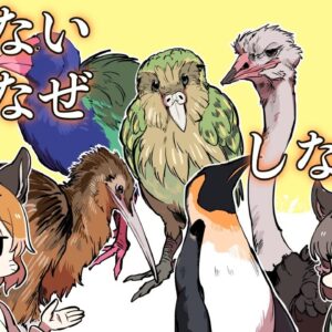 【漫画】飛べない鳥が絶滅しない理由とは？【マンガ動画／ゆっくり解説】