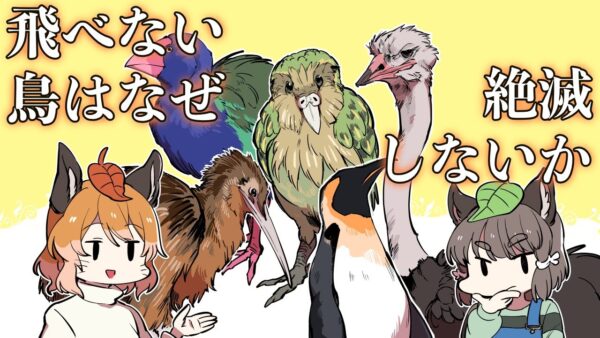 【漫画】飛べない鳥が絶滅しない理由とは？【マンガ動画／ゆっくり解説】