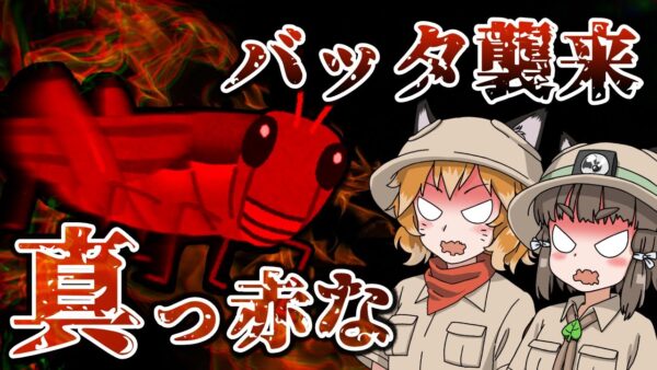 【ゆっくり解説】真っ赤なバッタが襲来！？新たな蝗害が南部アフリカへ…