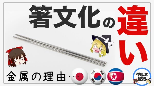 【ゆっくり解説】世界の箸の使い方の違いについて 日本・中国・韓国の決定的な違いとは！？海外の反応