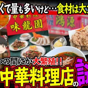 【ゆっくり解説】安くて量が多い謎...激安中華料理店が日本に多い理由について