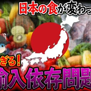 【ゆっくり解説】深刻すぎる食の輸入依存！日本の食が変わってしまう可能性について