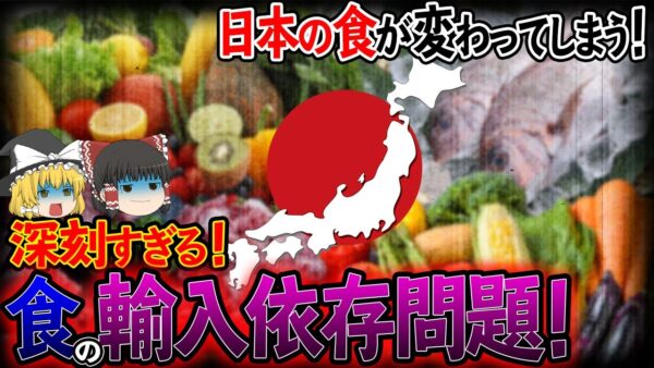 【ゆっくり解説】深刻すぎる食の輸入依存！日本の食が変わってしまう可能性について