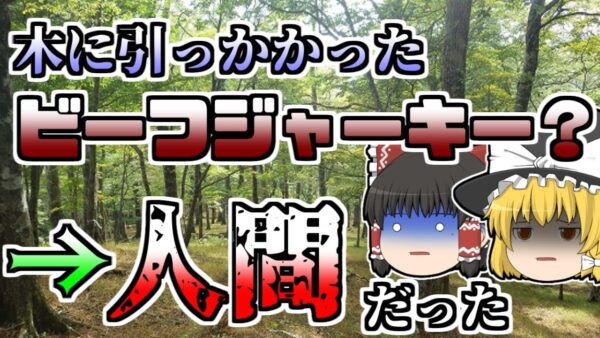 【ゆっくり解説】突如として消息を絶った輸送機･･･二日後に発見された山では、木に引っかかった何かの肉「蛭ヶ岳輸送機墜落」