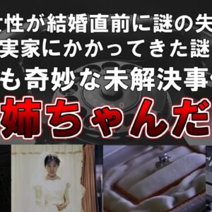 【ゆっくり解説】20代女性が結婚直前に謎の失踪、女性の実家にかかってきた謎の電話、最も奇妙な未解決事件『お姉ちゃんだよ』事件
