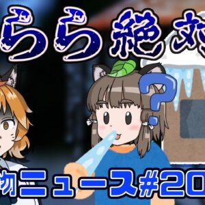 【ゆっくり解説】つららは絶対食べるな！賢い猿が人間と○○する？美しいビーチに現れた謎のゴミの正体【生き物ニュース#20】