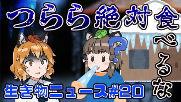 【ゆっくり解説】つららは絶対食べるな！賢い猿が人間と○○する？美しいビーチに現れた謎のゴミの正体【生き物ニュース#20】