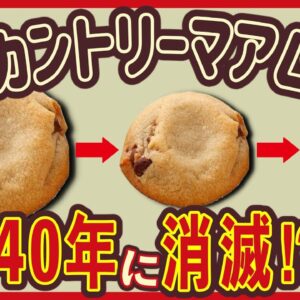 【ゆっくり解説】カントリーマアムの2040年問題が深刻過ぎる!?サイズダウン、ステルス値上げの闇について