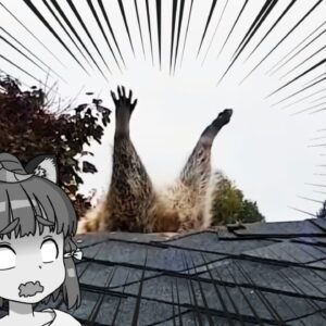 【ゆっくり解説】ハプニングをやらかした生き物たち3選