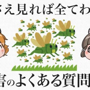 【ゆっくり解説】蝗害のよくある質問8選｜バッタはなぜ大量発生するのか？