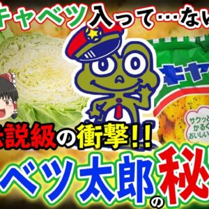 【ゆっくり解説】9割の人が知らないキャベツ太郎のキャベツの意味について