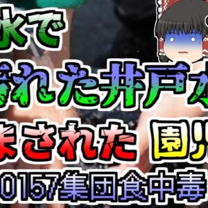 【ゆっくり解説】幼稚園で謎の集団腹痛が発生 その原因は井戸水にしみ込んだ汚水...『幼稚園集団O157食中毒』【1990年】
