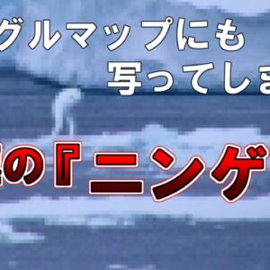 【ゆっくり解説】グーグルマップにも写ってしまった南極の『ニンゲン』