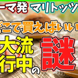 【ゆっくり解説】 話題のスイーツパン、マリトッツォとは⁉︎コンビニ、カルディを比較してみた！