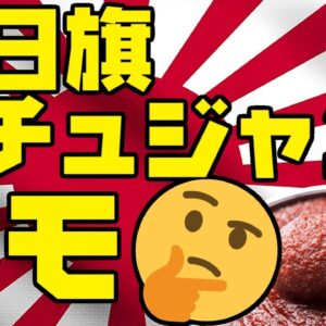 韓国、旭日旗にコチュジャン塗りたくるとデモになる模様【ゆっくり解説】