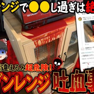 【ゆっくり解説】オーブンレンジが吐血する！？さつまいもや肉まんでも火災が起きる「電子レンジ事故」について