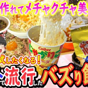 【ゆっくり解説】ネットで流行したバズり飯達について