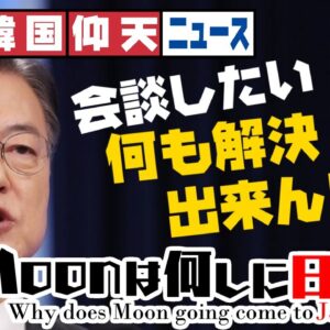 ザ・韓国仰天ニュース！文は何しに日本へ？【ゆっくり解説】