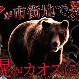 【ゆっくり解説】札幌の市街地でクマが次々に人を襲撃！○○男も登場で北海道はカオスに…