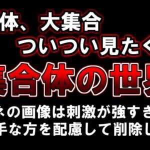 【ゆっくり解説】集合体大集合　ついつい見たくなる『集合体の世界』
