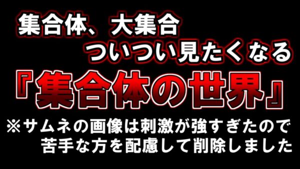【ゆっくり解説】集合体大集合　ついつい見たくなる『集合体の世界』