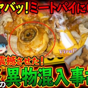 【ゆっくり解説】世界を震撼させた衝撃の異物混入事故！ミートパイに○○の衝撃が走る！