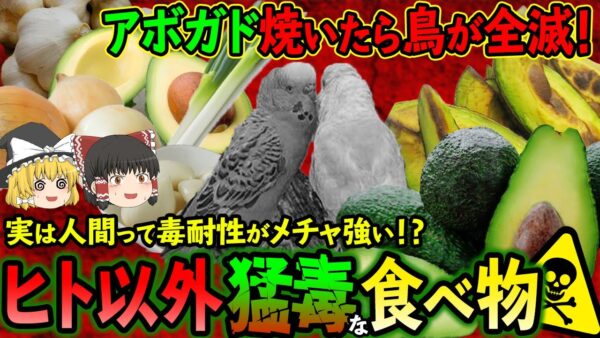【ゆっくり解説】アボカドを焼いたら鳥が全滅！？ヒト以外に猛毒な食べ物たちについて