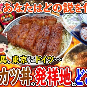 【ゆっくり解説】ソースカツ丼の発祥地多すぎ問題！本当の発祥地は一体どこだ？