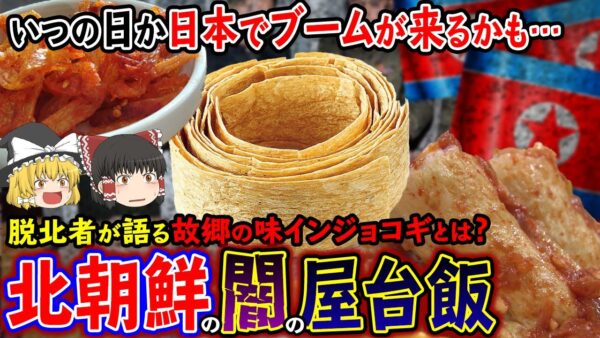 【ゆっくり解説】北朝鮮に存在する闇の屋台飯、インジョコギについて