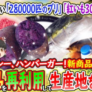 【ゆっくり解説】ピザにカレーにハンバーガー！？特産品のまさかの再利用で生産地を救え？