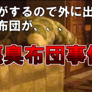 【ゆっくり解説】異臭がするので外に出ると謎の布団が、、、『悪臭布団事件』