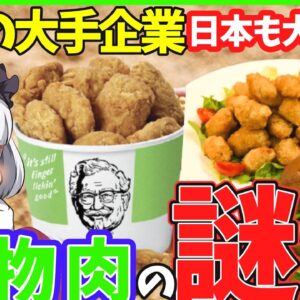 【ゆっくり解説】スタバ、マクド世界の大手が注目する「植物肉」とは⁉︎唐揚げ、ハンバーグも素食料理にもなる‼︎